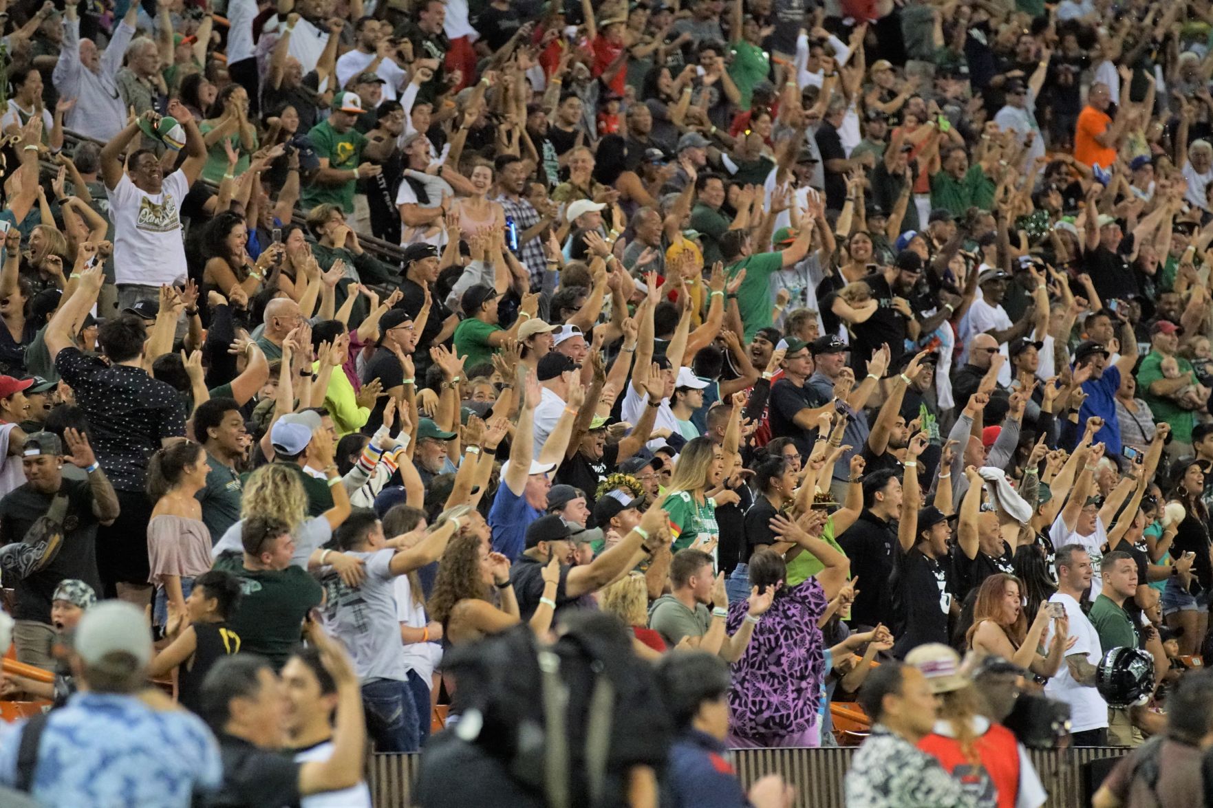 Hawaii fans 2